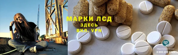 ПСИЛОЦИБИНОВЫЕ ГРИБЫ Каменка