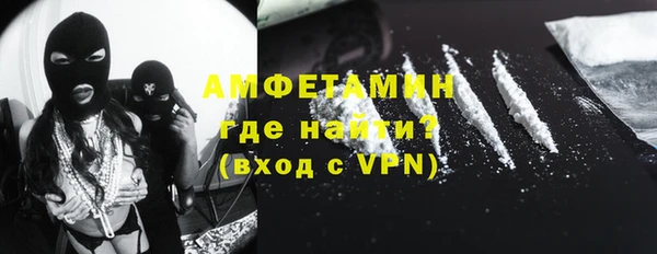 ПСИЛОЦИБИНОВЫЕ ГРИБЫ Каменка