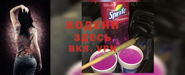 дживик Карпинск