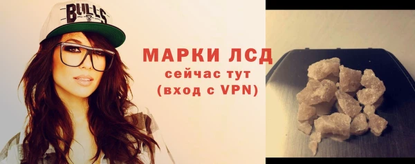 ПСИЛОЦИБИНОВЫЕ ГРИБЫ Каменка
