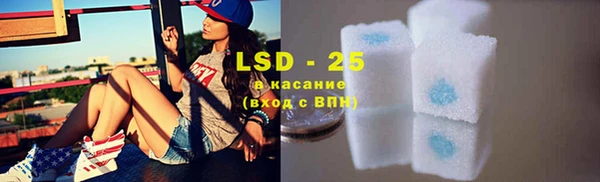 дживик Карпинск