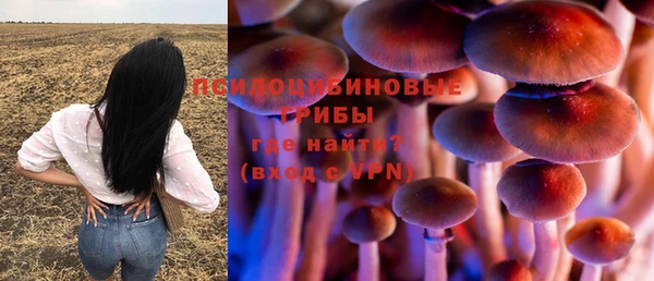 дживик Карпинск