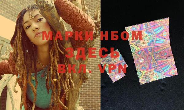 ПСИЛОЦИБИНОВЫЕ ГРИБЫ Каменка