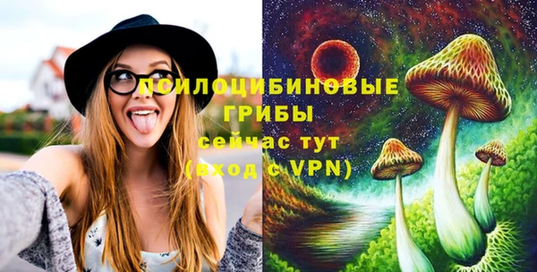 ПСИЛОЦИБИНОВЫЕ ГРИБЫ Каменка