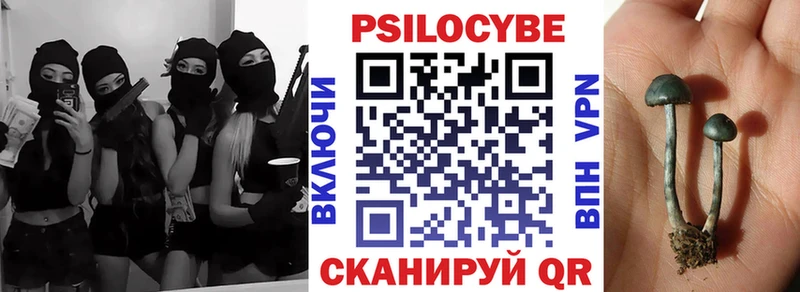 ОМГ ОМГ ТОР  Курск  Псилоцибиновые грибы Psilocybe 