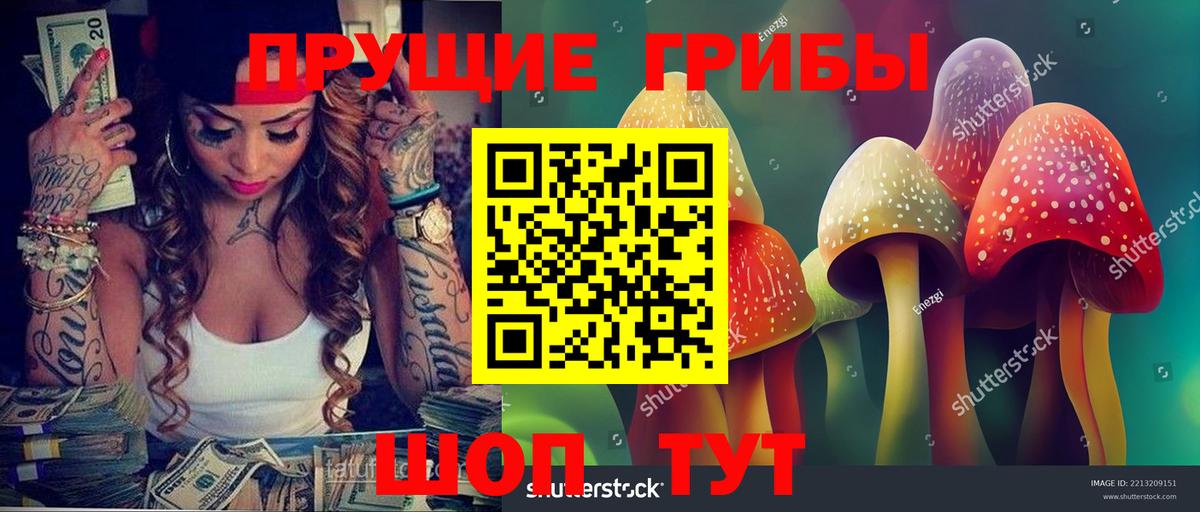 Галлюциногенные грибы Psilocybine cubensis Курск